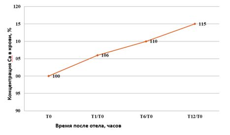 table2.JPG